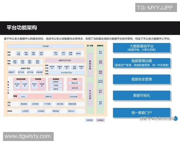 武汉极限运动队进攻战术深度分析与实战应用探讨